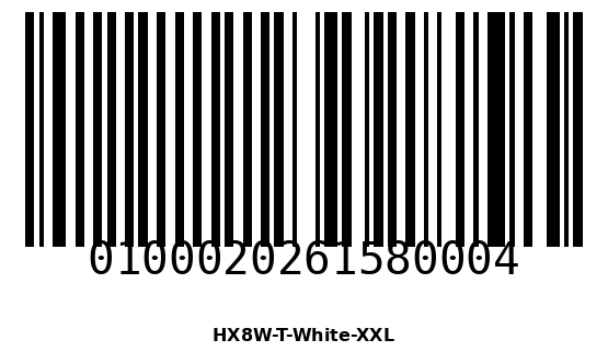 0100020261580004